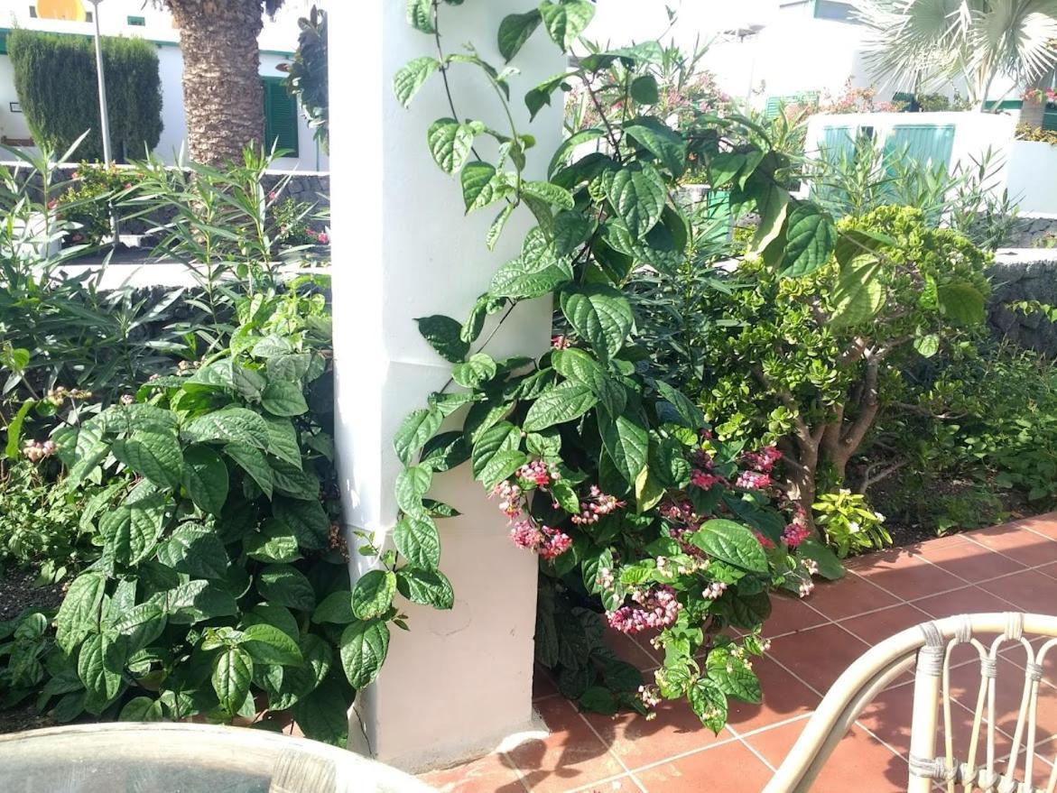 Casa Maracuya Villa กอสตา เตกีสเซ ภายนอก รูปภาพ