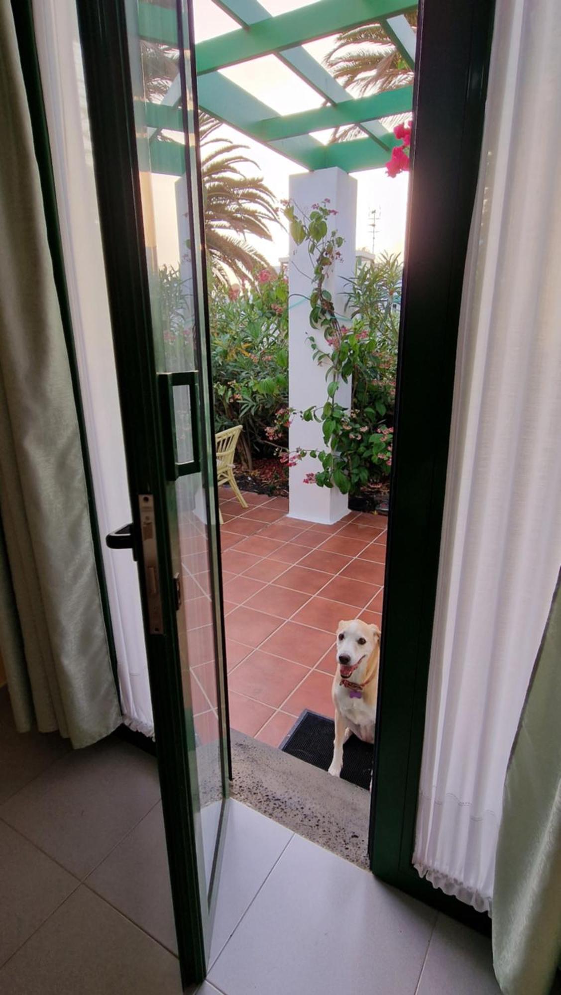 Casa Maracuya Villa กอสตา เตกีสเซ ภายนอก รูปภาพ